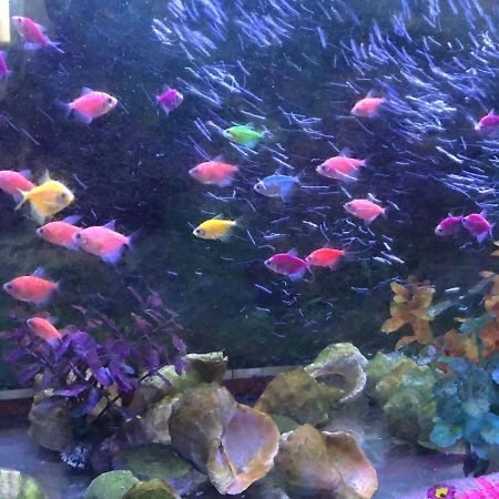 Vilari Odessa Dış mekan fotoğraf
