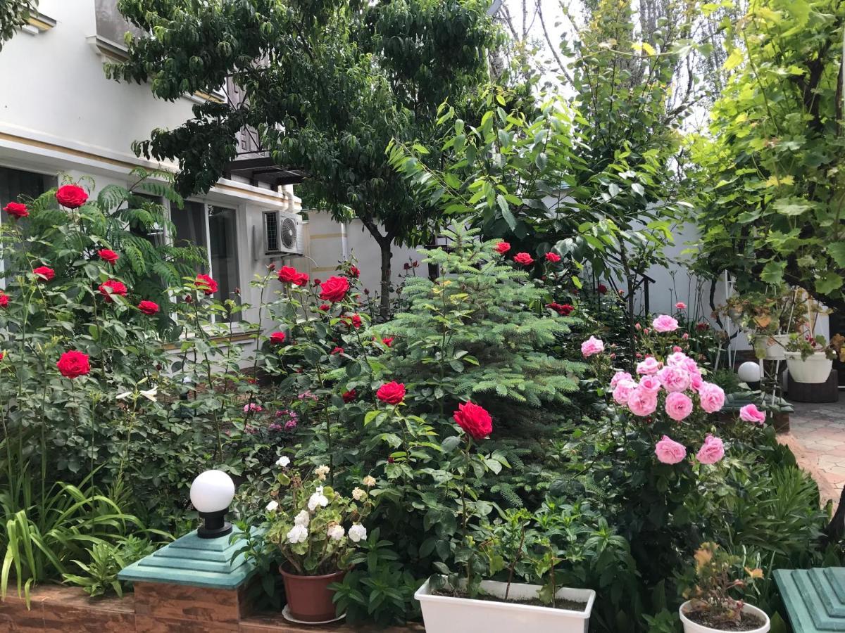 Vilari Odessa Dış mekan fotoğraf