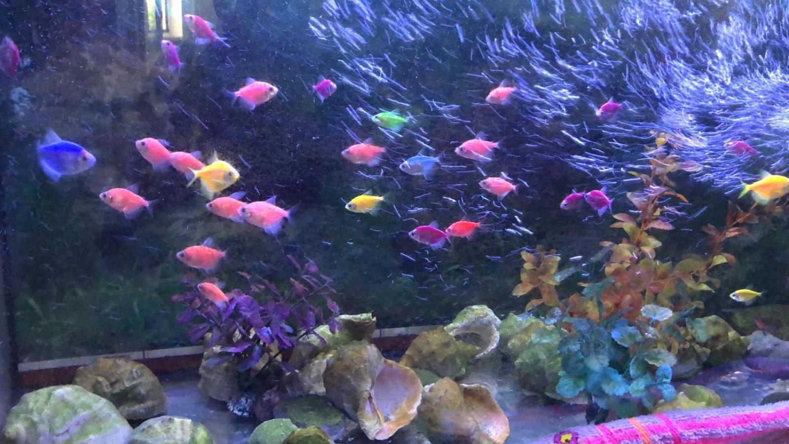 Vilari Odessa Dış mekan fotoğraf